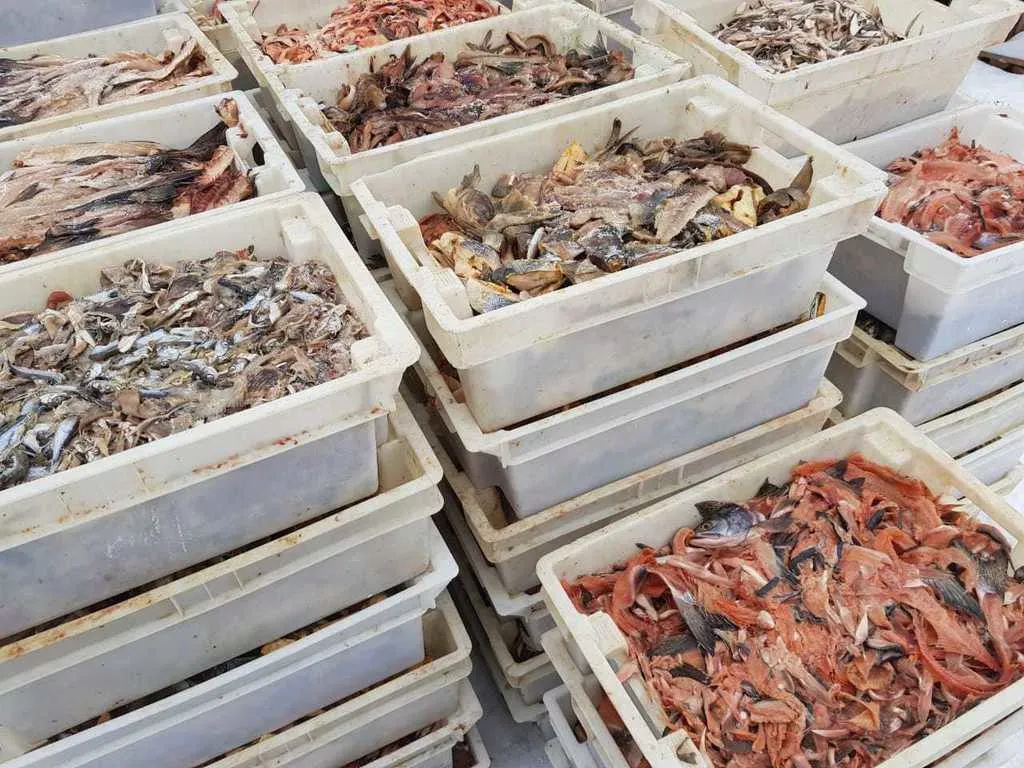 отходы от рыбных производств в Барнауле