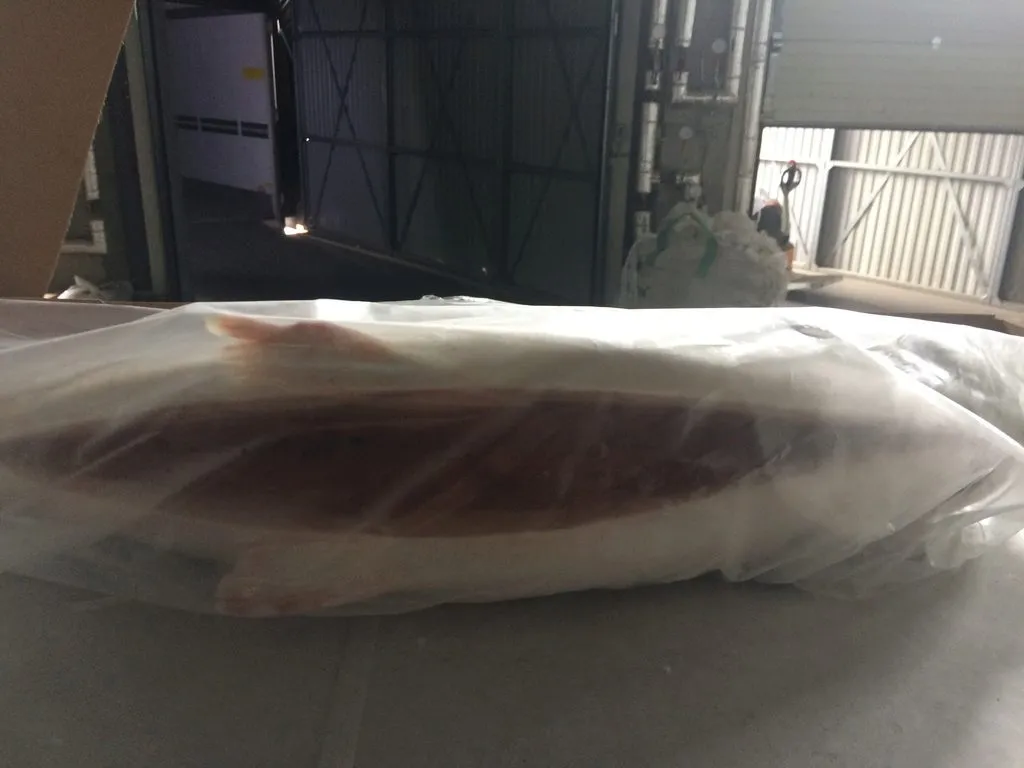 продаю лосось Чили замороженный в Республике Беларусь
