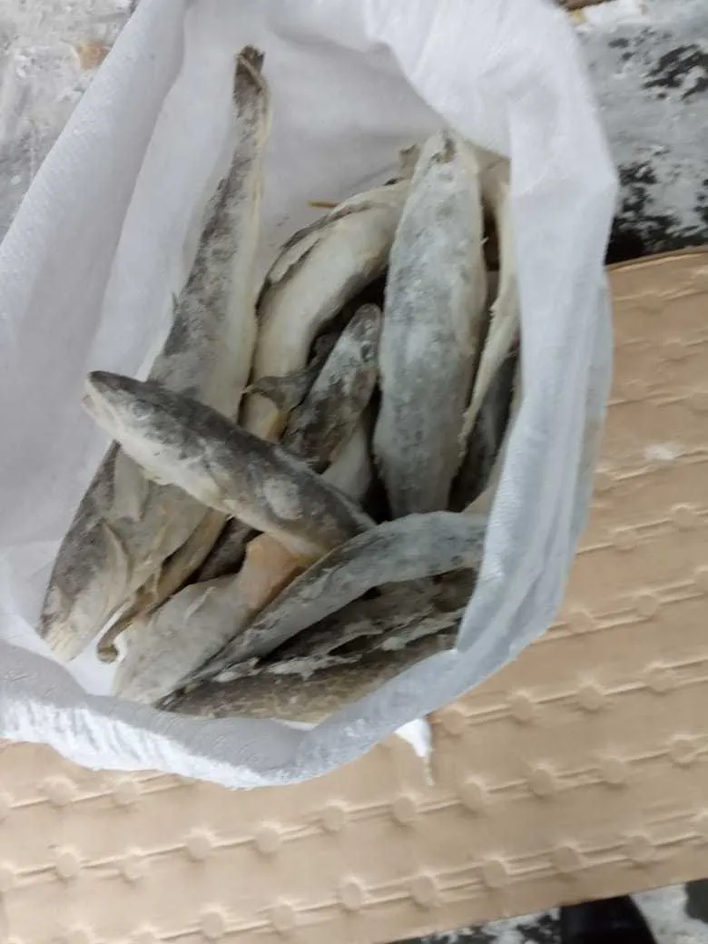 морепродукты Кальмар в Барнауле 2